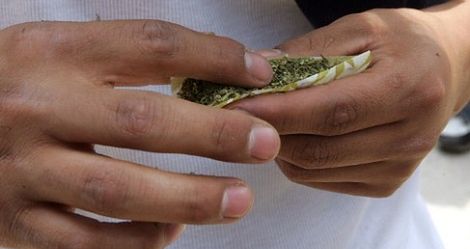 Pierwszy na świecie recenzent marihuany