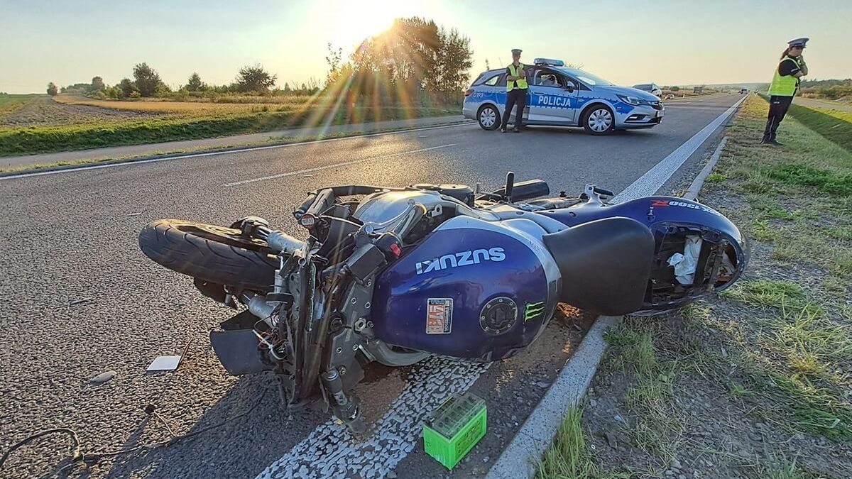 Motocyklista zginął po zderzeniu z łosiem na obwodnicy Kraśnika
