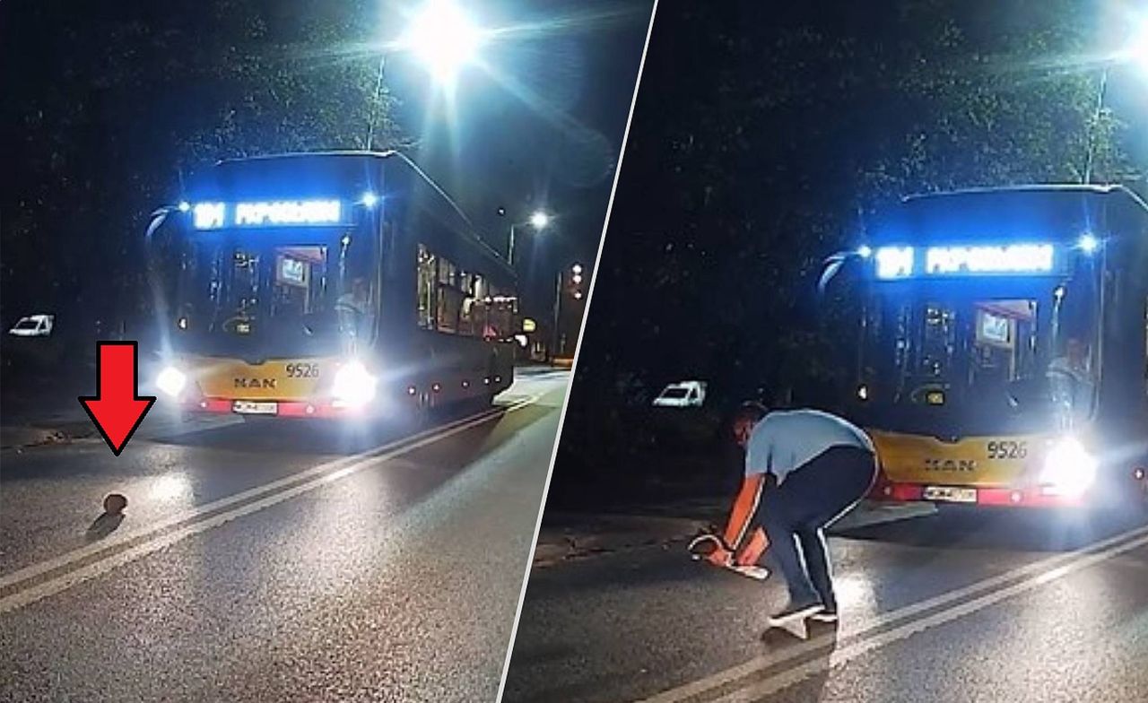 Jeż w opałach. Pomógł mu kierowca autobusu
