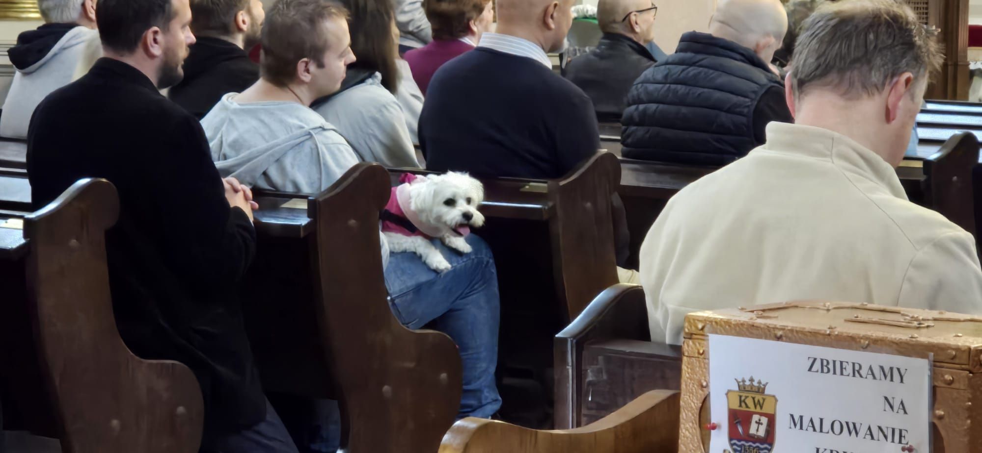 Msza dla zwierząt 
