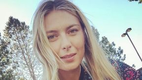 Najpierw Harvard, a potem NBA. Zawieszona Szarapowa nie marnuje czasu