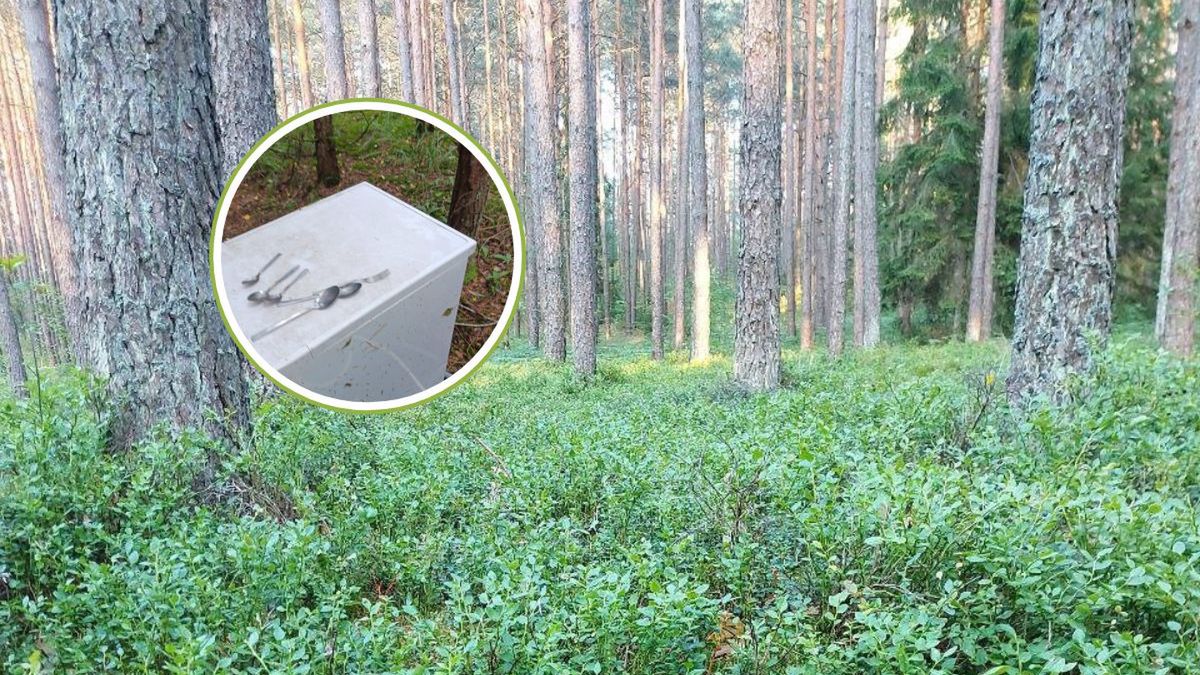 Las zamieniony w śmietnik. Szokujące odkrycie leśników