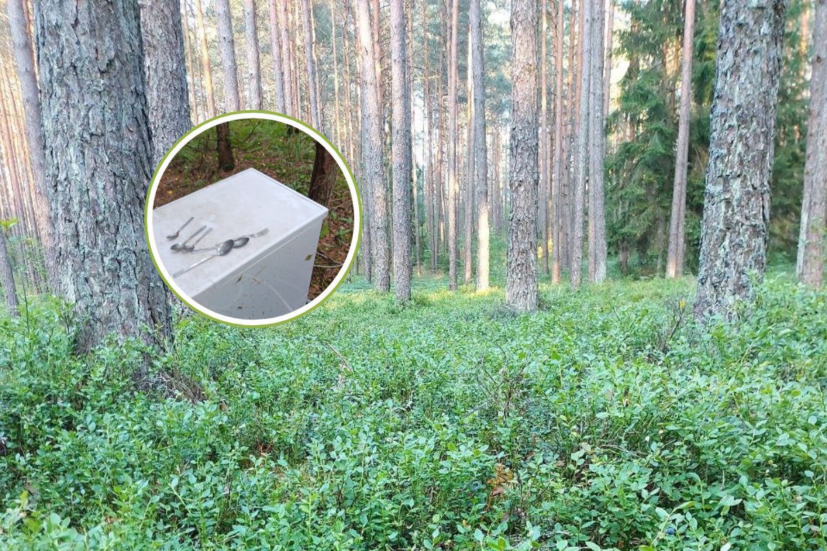 Leśnicy pokazali, co znaleźli. Aż się zagotowali. "W lesie? Serio?!"