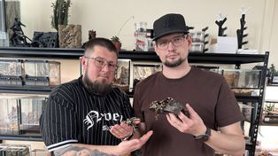 Konin: Pająki bez strachu. Pasjonaci pokazują ich prawdziwe oblicze