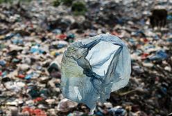 Niemieckie media: "Śmieciowa mafia" wywozi odpady do Polski