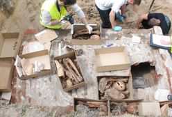 Ludzkie szczątki znalezione w Sosnowcu-Maczkach. To kości czerwonoarmistów