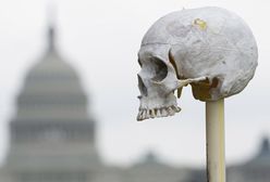 Milion kości w Waszyngtonie