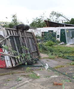 Tornado w Czechach uderzyło w zoo. Schronisko niemal zrównane z ziemią