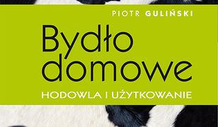 Bydło domowe - hodowla i użytkowanie