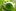 Garmin Forerunner 210 – pobiegajmy
