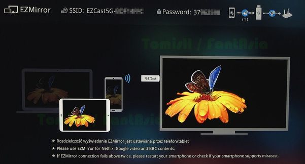 Urządzenie w trybie EZMirror