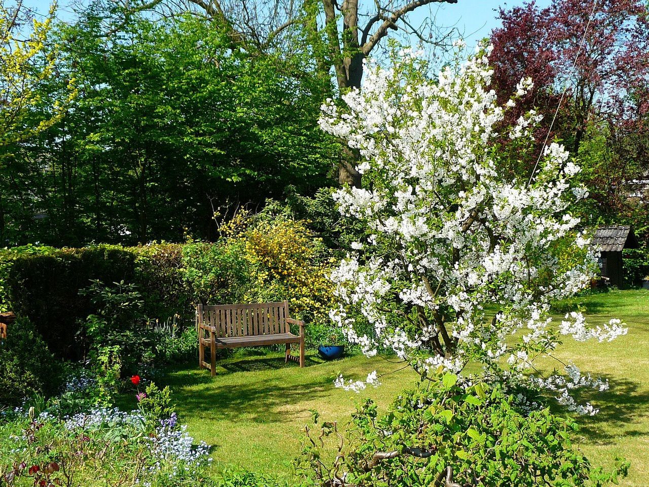 Własna działka za miastem? Te pułapki zaskoczyły już wielu kupujących