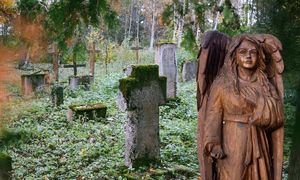 Stary cmentarz ewangelicki w Pleceminie. Zapomniane miejsce z duszą