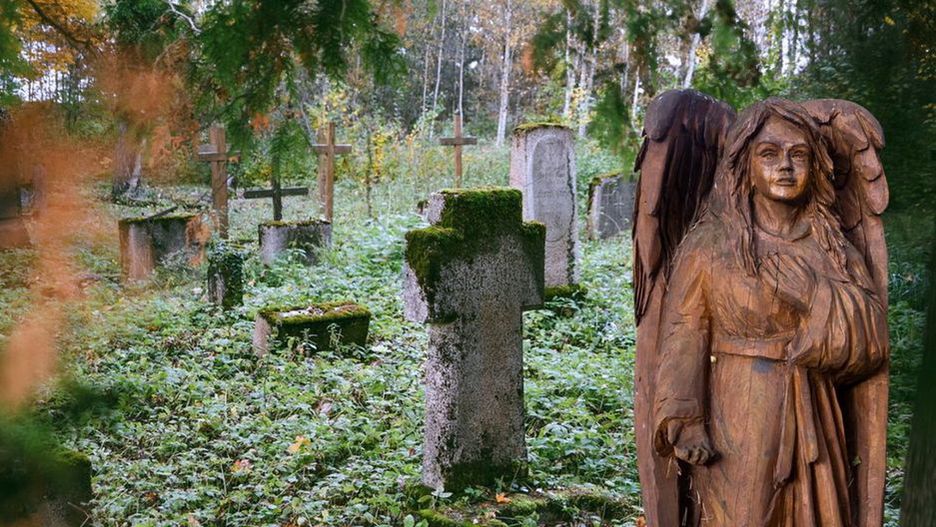 Stary cmentarz ewangelicki w Pleceminie