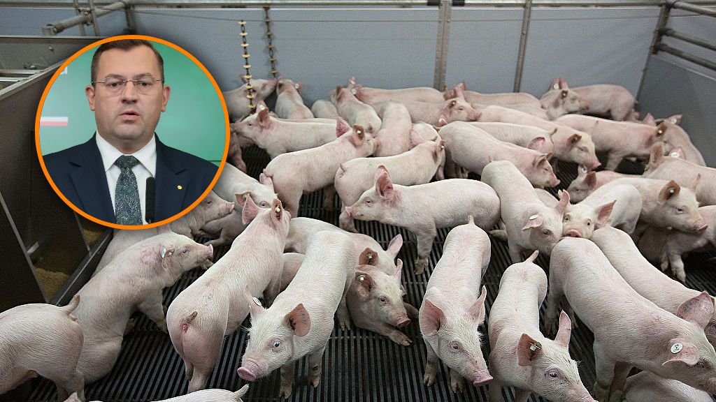 Ministerstwo zapowiada zmianę w prawie 