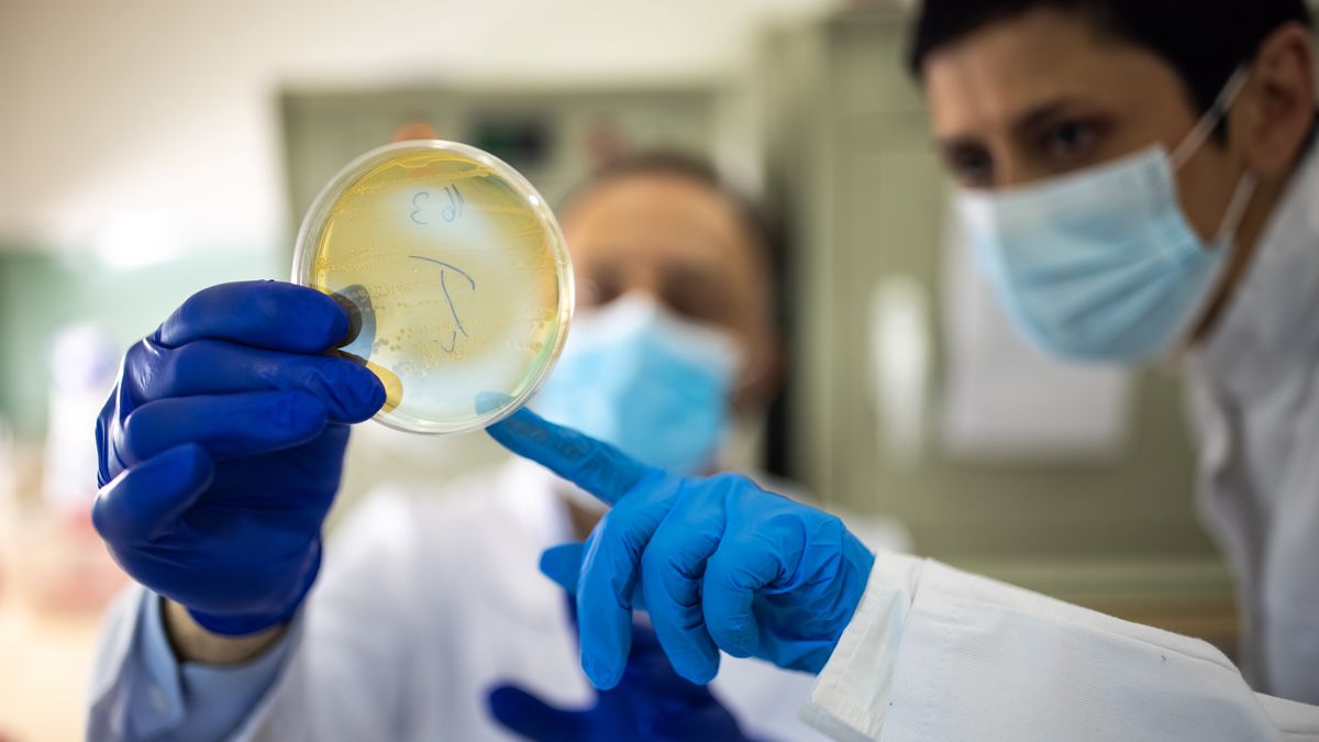 Superbakterie problemem nie tylko dla zdrowia