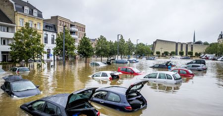 Powódź w Holandii. Mieszkańcy walczą z szabrownikami