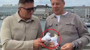 Dobrze się przypatrz. Tak Borek zaprosił na mecz Polski z Finlandią