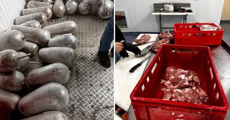 Wkroczyli na teren produkcji. 1,5 tony nielegalnego mięsa do kebaba