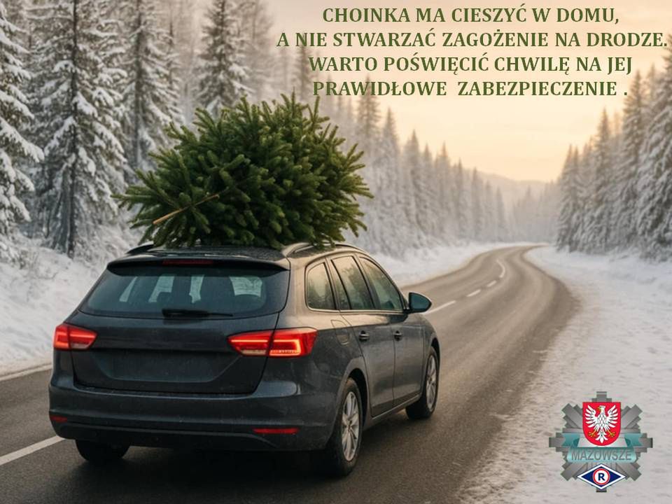 Jak bezpiecznie przewieźć choinkę? Policja ostrzega przed mandatami i zagrożeniem na drodze