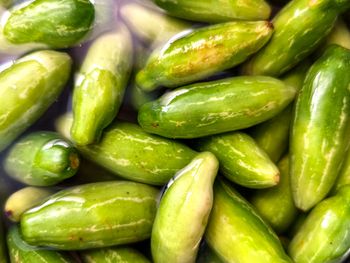 W Polsce mało kto je, a szkoda. Na jelita działa niczym balsam