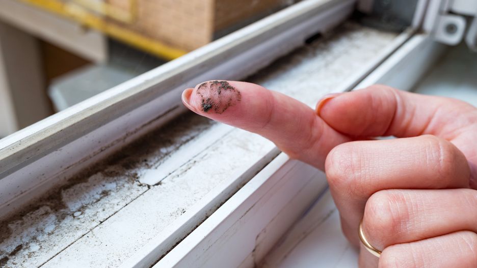 cleaning, window cleaner, pvc, wash, household, housework, fungus, dirty, black mould, apartment, arm, black mold, chore, clean, clean-up, detergent, dirt, dirty domestic, disinfect, domestic, dust, dusty, duty, erase, eraser, facility management, finger, home, house, job, labor, lifestyle, maintenance, manual labor, mold, mould, neat, occupation, person, professional, professional cleaner, pvc window, rain, smear, supply, window, window frame, wipe, work