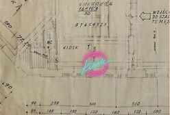 Warszawa. Na placu Wilsona otworzyły się różowe bramy. Będzie słodko i słono