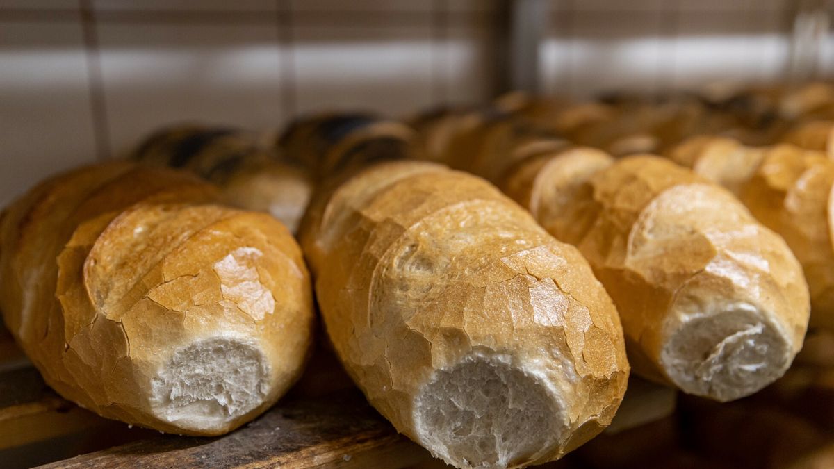 Przedstawiciele piekarni mówią, że produkcja pieczywa staje się nierentowna