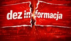 Platformy społecznościowe usuwają tylko niewielką część dezinformacji. Mimo licznych zgłoszeń