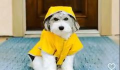 Instagram szykuje nowy układ sekcji Eksploruj. Chce gonić zaangażowanie użytkowników TikToka