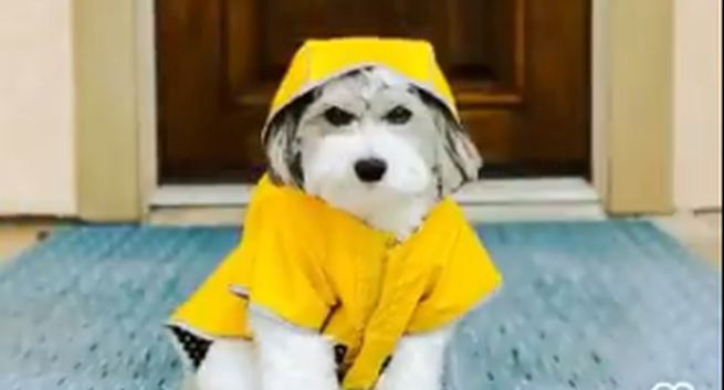 Instagram szykuje nowy układ sekcji Eksploruj. Chce gonić zaangażowanie użytkowników TikToka