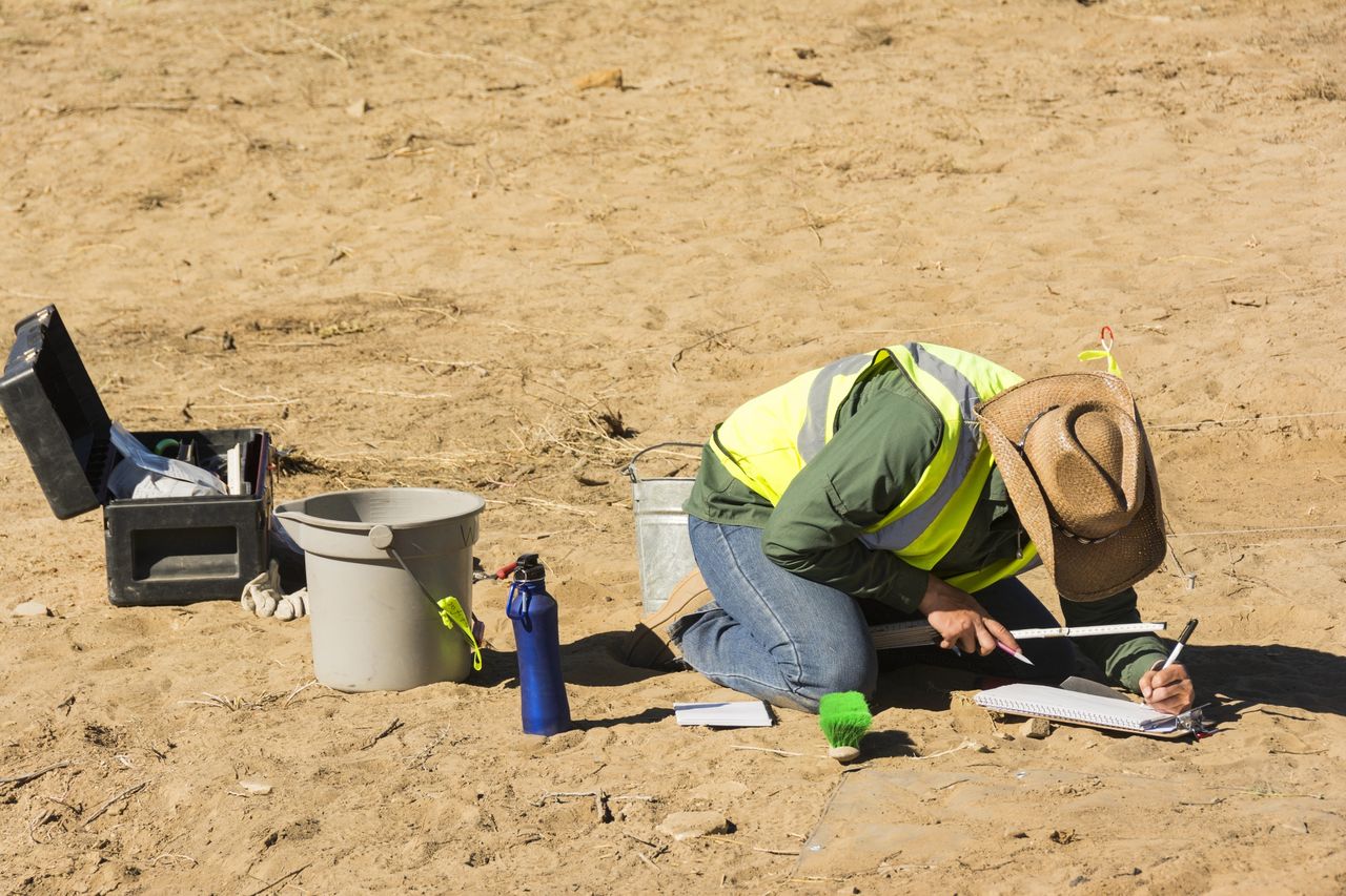 The oldest reptile skin fossil gives insight into the amphibious lifestyle during the Paleozoic era