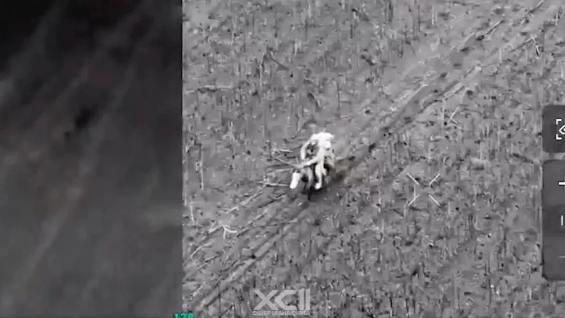 Szarża Rosjanina na koniu