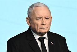 Niemieckie media uderzają w PiS. "Są w stanie sprzedać kraj"