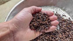 Działają na mózg jak CBD. Sześć popularnych przypraw