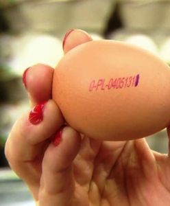 Ile jajek dziennie możemy zjeść, czyli co warto wiedzieć o jajku?