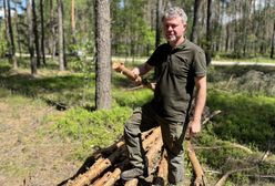 Węgiel drogi, więc zbierajcie chrust. Leśnik potwierdza: To już się dzieje