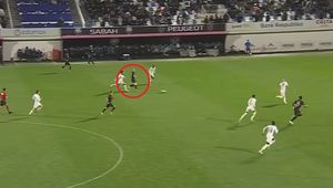 Puchacz znów się pokazał. Zobacz wideo