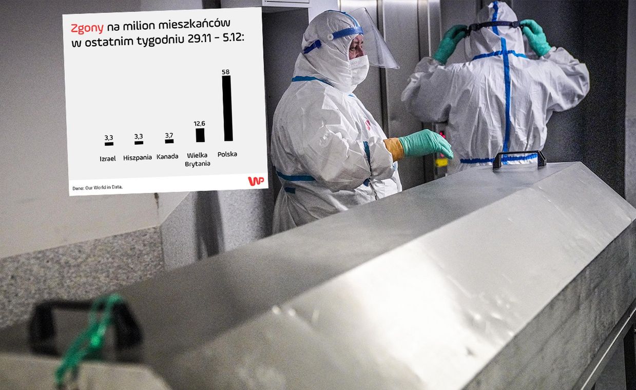 Polska w światowej czołówce. Lekarze o przyczynach masowych zgonów: "To się nie mieści w głowie"