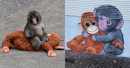 Małpka Punch podbiła świat, a w Poznaniu dostała własny mural. Teraz jego twórca ma kłopoty