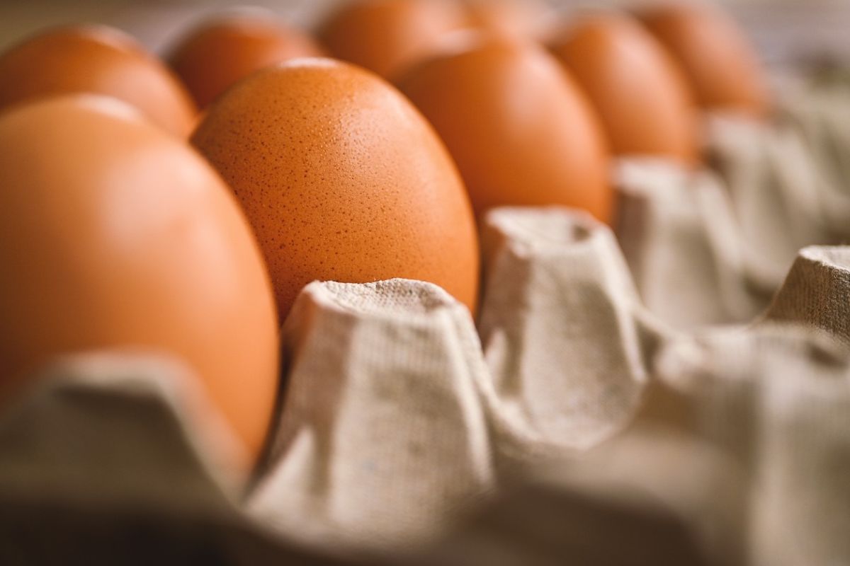 Jak prawidłowo przechowywać jajka?