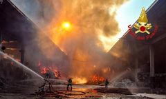 Pożary we Włoszech. Śledczy badają, czy mafia wykorzystywała koty do rozprzestrzeniania ognia