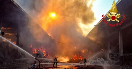 Pożary we Włoszech. Śledczy badają, czy mafia wykorzystywała koty do rozprzestrzeniania ognia
