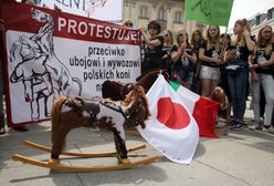 Protest przeciwko wywozowi polskich koni do japońskich rzeźni