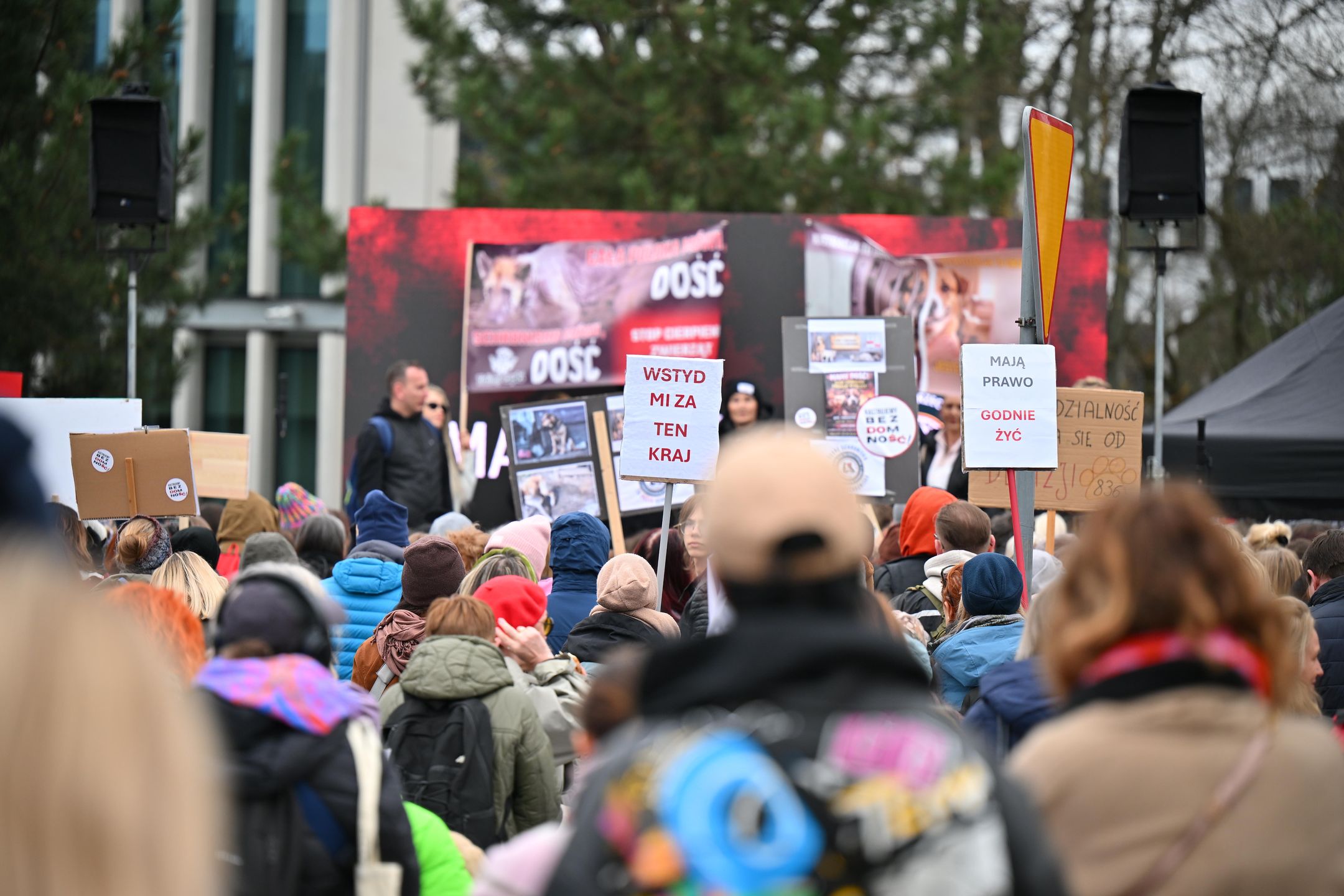 Protest