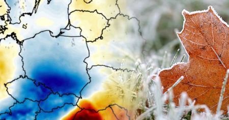 Temperatura przy gruncie może spaść do -4 st. C. Padła data