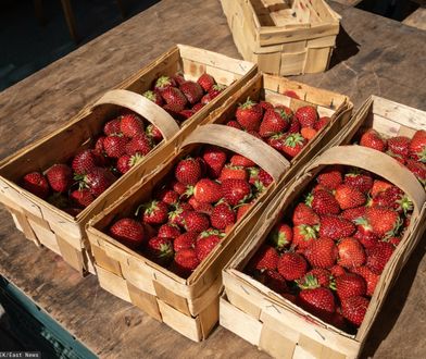 Od dzisiaj możemy kupić pierwsze polskie truskawki. Znamy cenę