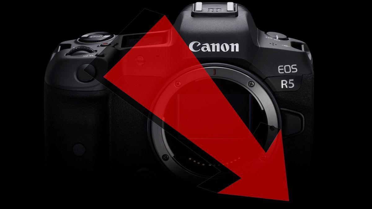 Canon Imaging z 80-procentowym spadkiem w Q1 2020 roku 1