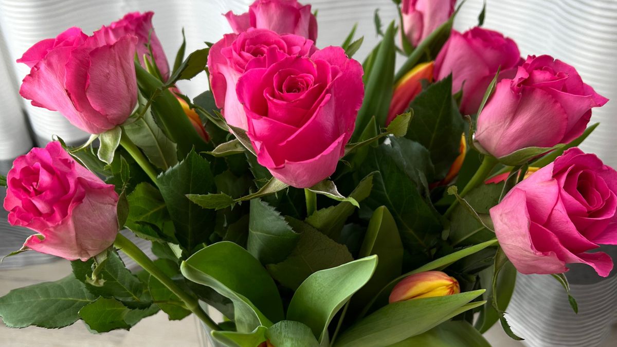 Jak pielęgnować cięte róże?