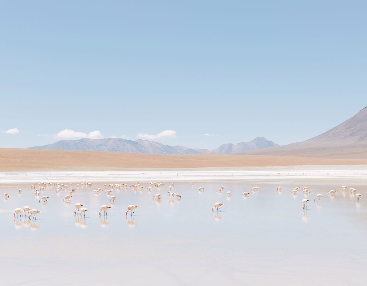 Faingnaert opisuje krajobraz Boliwii jako bardzo kontrastowy. Można znaleźć tam wszystko: biedę i bogactwo, góry i morza, czystą naturę oraz duże miasta. Ta różnorodność okazała się być razem dla fotografa-podróżnika, który chciał jak najlepiej poznać miejsce swojego pobytu. Kevin w rozmowie wspomina również przepiękne stado flamingów, które spotkał w okolicy jeziora Liticaca.